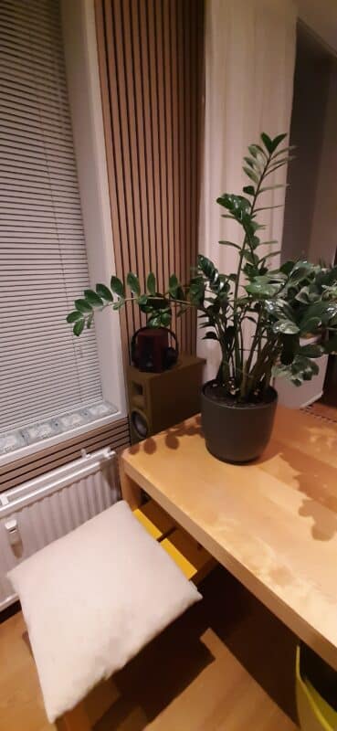 Afbeelding #2 van Roeland A.